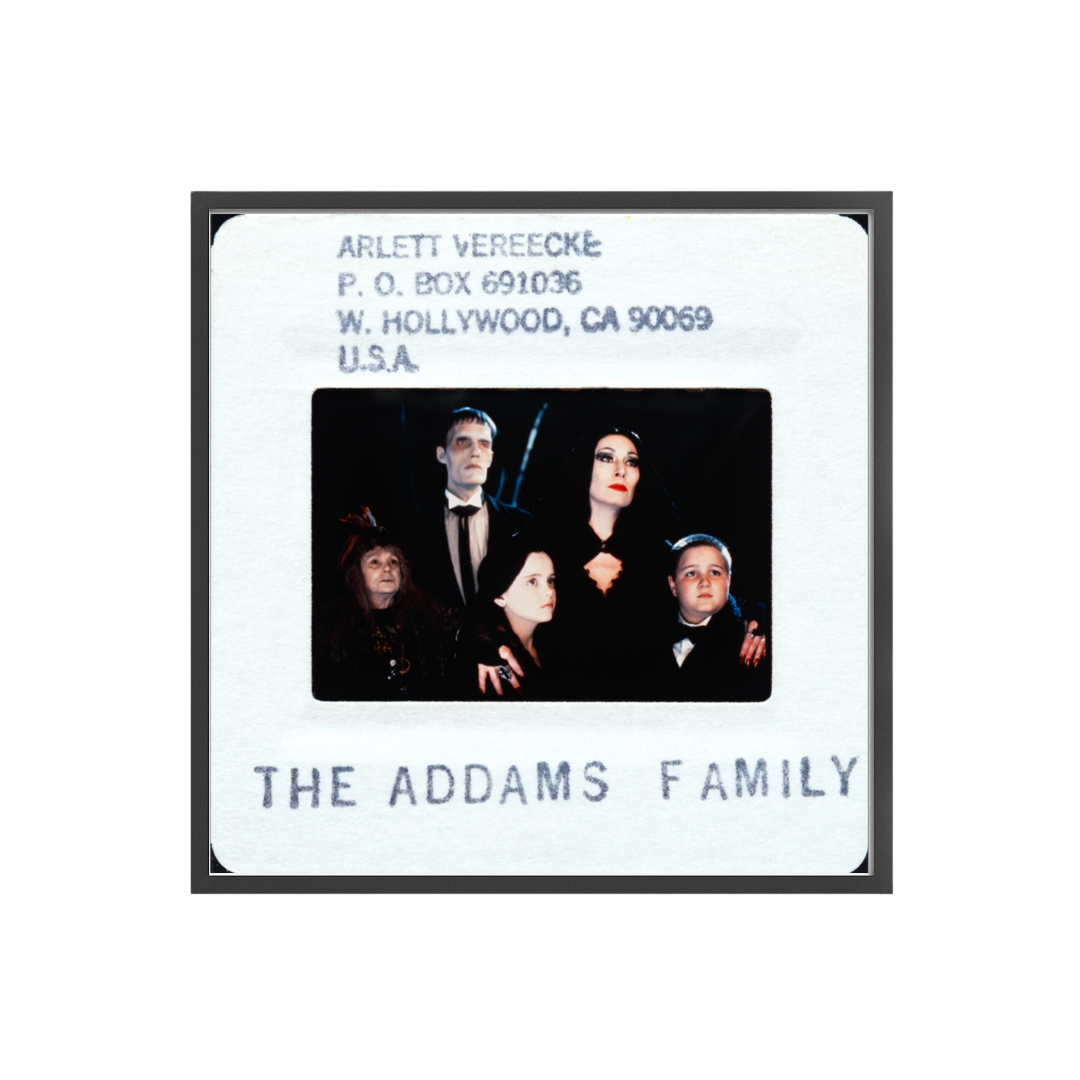 The Addams Family, 1991